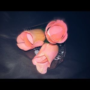 Meet your Posher, Carley